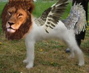 liondogbirdsquirrel.jpg