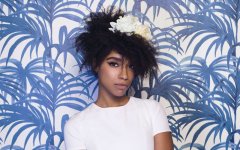 Lianne-La-Havas-oyafestivalen-2015-crop.jpg