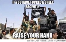 everyone_should_be_raising_their_hands_c_mon_isis_stop_lying_540.jpg