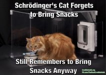 schrodingercatsnacks.jpg