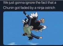 ninja ostrich.jpg