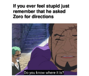 he asked zoro.png