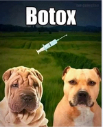 botox.PNG