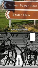 spider farm.jpg