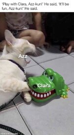 azz v clara.jpg