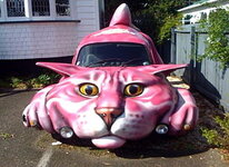 pink cat.jpg