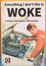 wokebook.PNG