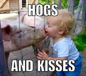 hogs and kisses.png