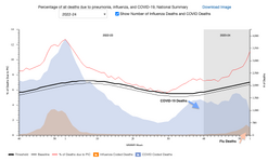 Flu vs Covid deaths.png