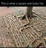 square root looks like.jpg