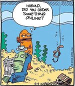 did you order something online fish.jpg
