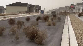 72842632007-tumbleweeds.jpg