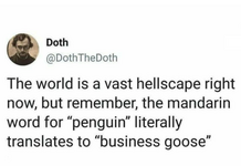 businessgoose.png