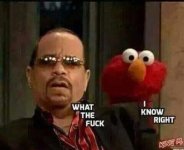 wtf-inorite-animal-ice-t.jpg