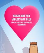 hamster_valentine_2016_by_jollyjack-d9ropqm.jpg