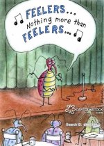 animals-feeling-feelings_nothing_more_than_feelings-bug-insect-feeler-dre0384_low.jpg