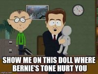 bernie_tone.jpg