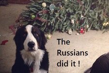 russians-did-it.jpg