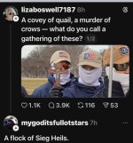 IMG_7960.jpeg