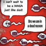 IMG_8035.jpeg