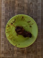 IMG_0970.jpeg