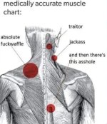 IMG_8673.jpeg