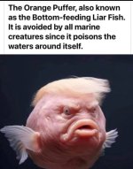 a0114fcebf1b07b668310c7f9b0b7a1f.jpg