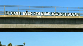 1782341283888.png