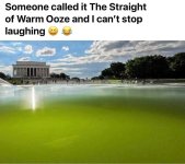 1782341485281.png