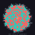 1000003098.gif