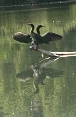 IMG_3610.jpeg
