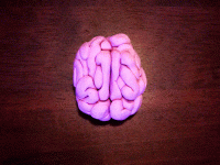 brainexplosion.gif brainexplosion.gif