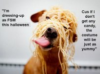 funny-033.jpg
