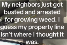 1793332930962.png