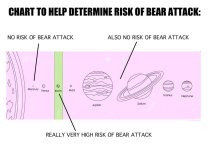 Bear Attack.jpg