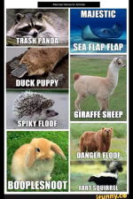 animals1.png