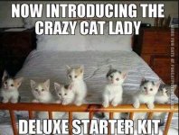 funny-cat-pics-crazy-cat-lady-deluxe-starter-kit.jpg