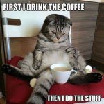 coffee-cat.jpg