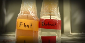 elite-daily-flint-michigan-water-crisis-twitter.png