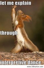 squirrel-dance.jpg