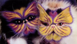 why-paint-cats-butterflies.jpg
