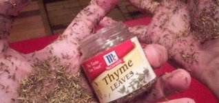 Thyme.jpeg