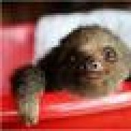 couch_sloth