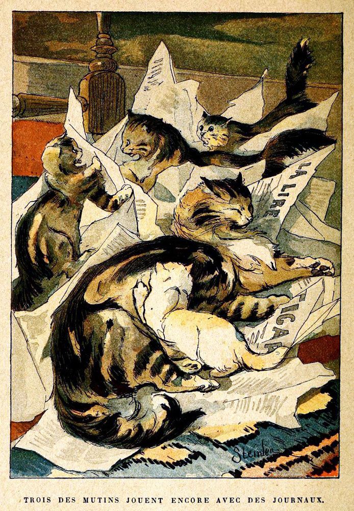 8e73ab9fbd51eb52470879e1cb6d9c64--newspaper-canvas-steinlen.jpg