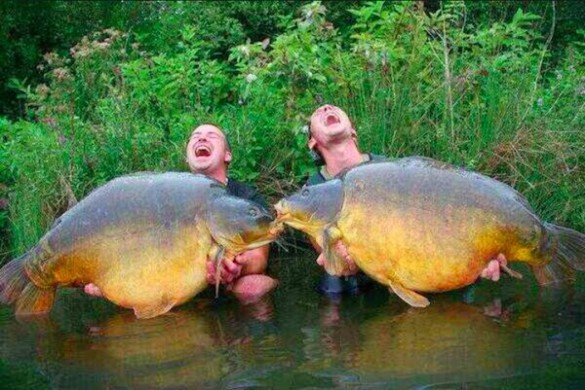 Carp-fishing-twins-585x390.jpg