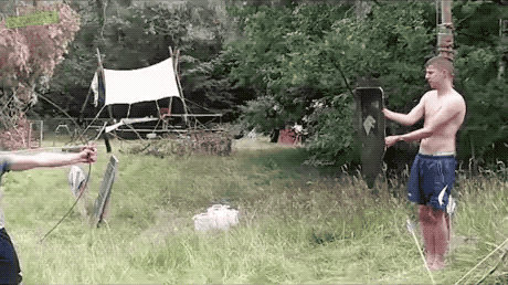 IMG-7987.gif