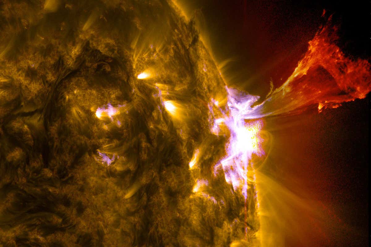 www.newscientist.com