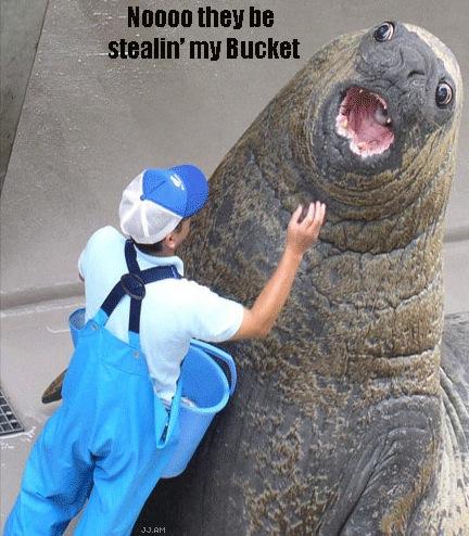 theybestealinmybucketseij5.jpg