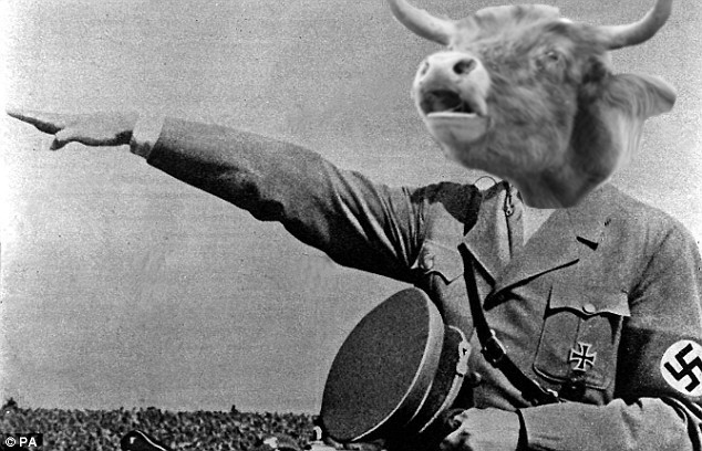 nazi-cow.jpg