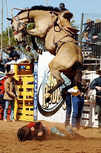 445ca5dd6d991328c4817aeef5575a3f--rodeo-cowboys-real-cowboys.jpg